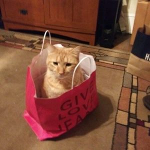 Meet your Posher, Herman